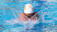 MidTown Swimming Club
